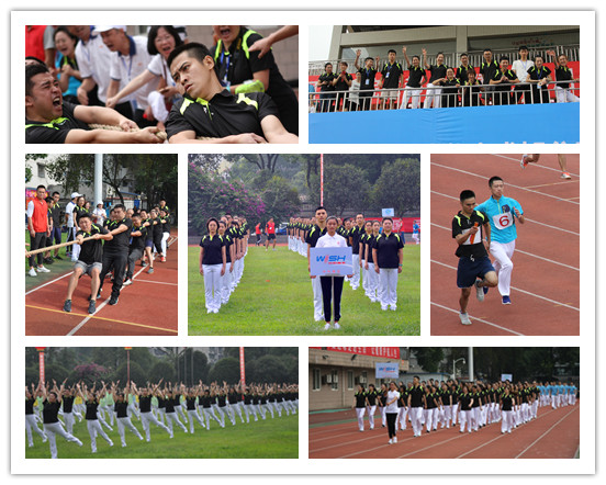 集體項(xiàng).jpg 集體項(xiàng).jpg